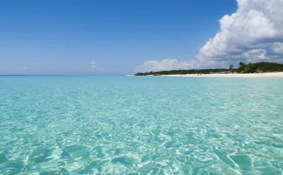 Crystal clear turquoise ocean water at a tropical white sand beach under a bright blue sky.