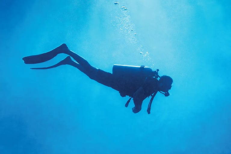 Scuba Diver
