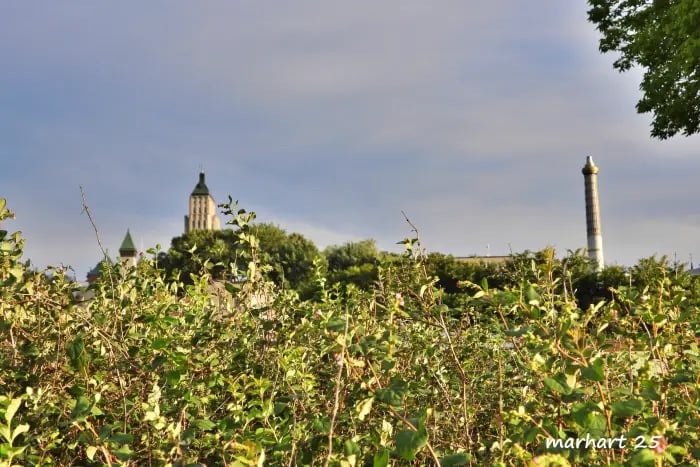 Édfice Price vu du Vieux port