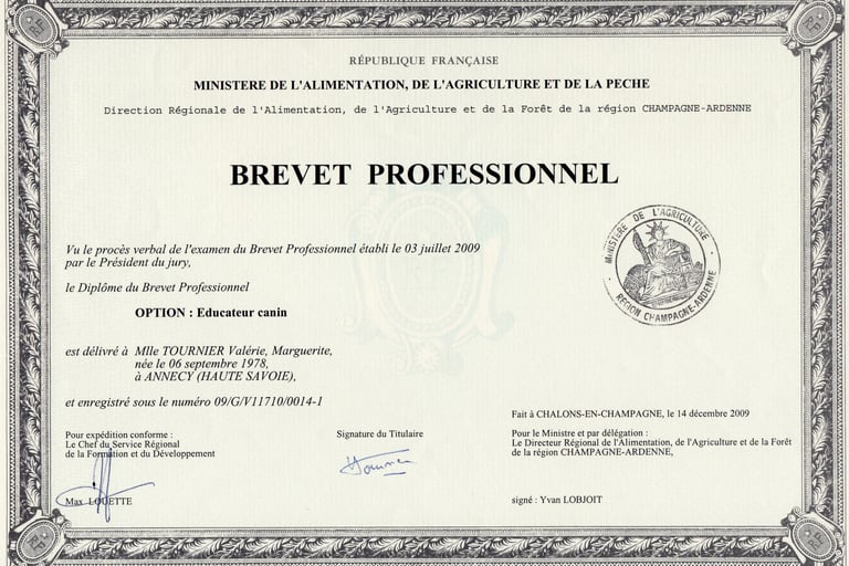 Diplôme Brevet professionnel d'éducateur canin