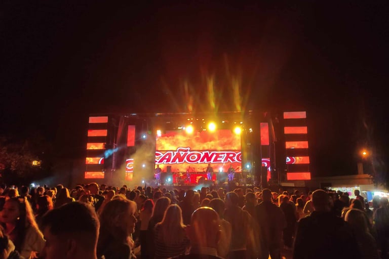 Grupo de música para eventos