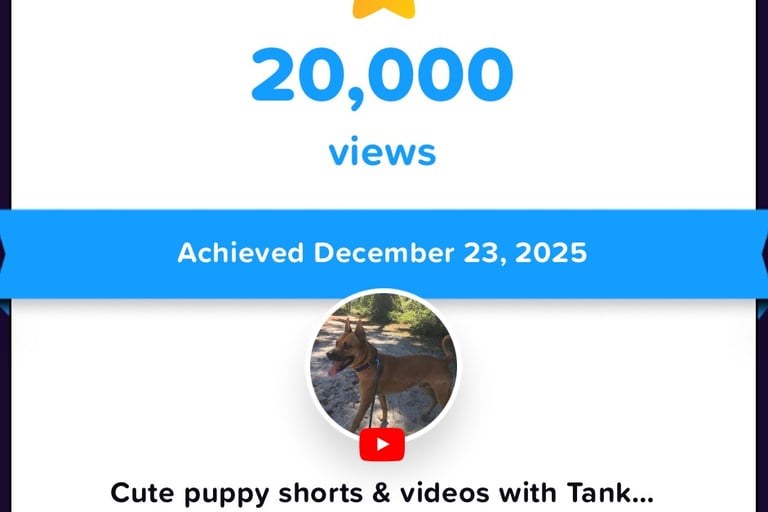 a dog with a medal for a video game