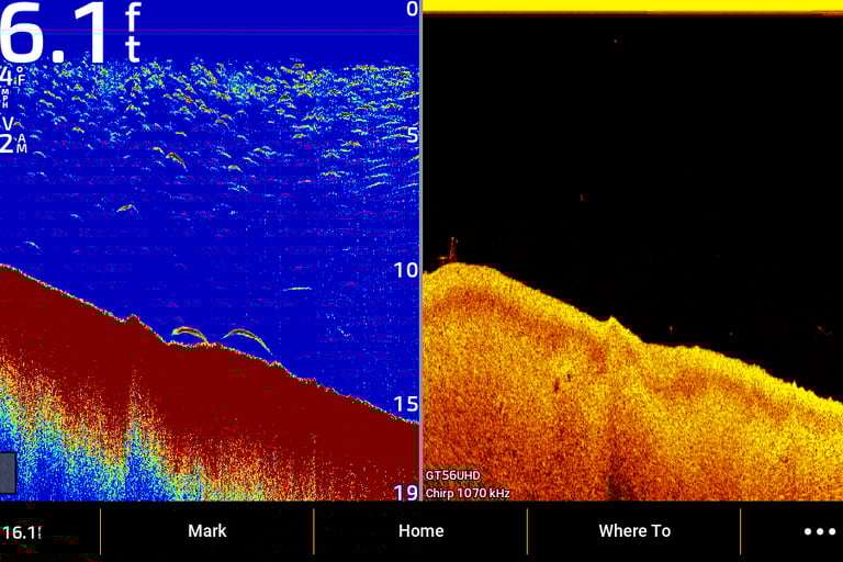 2D CHIRP and down image of bass close to bottom