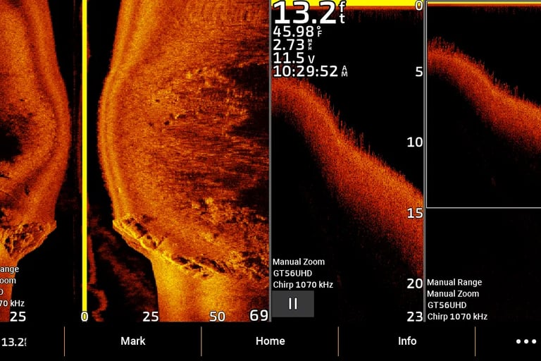 side image of structure bolders weeds and down imaging