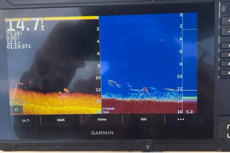 sonar garmin images