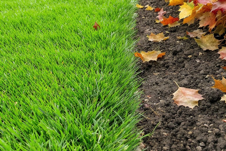 Leaves Near Lawn