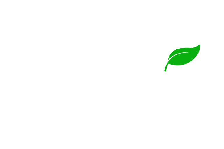 Freshye