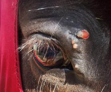 after 3 months on TURMERIC-BASED supplementt