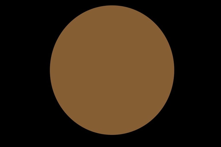 Brown dot on a black background