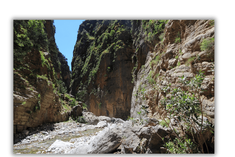 a narrow canyon with a river running through it