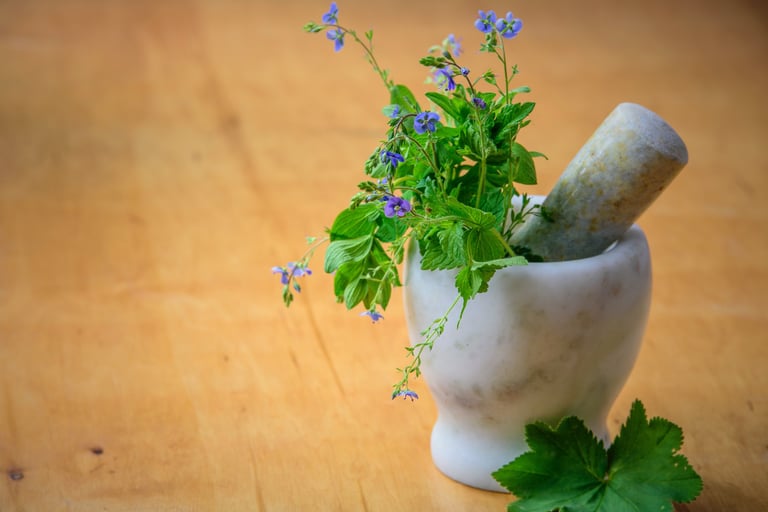 Fresh purple wildflowers and green herbs in a white marble mortar and pestle for herbal medicine.