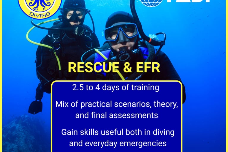 PADI Rescue Diver and EFR course at Gili Scuba Diving: 2.5 to 4 days of training, including theory, pool, and open water