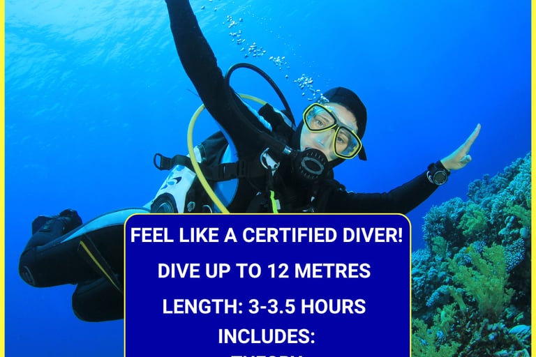 Gili Scuba Diving offers a dive experience to feel like a certified diver: includes 3-5 hours theory, pool training, and an o