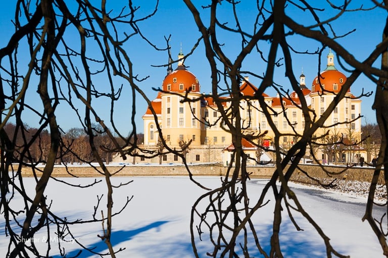 Blick auf Schloss Moritzburg im Winter an einem sonnigen Tag.