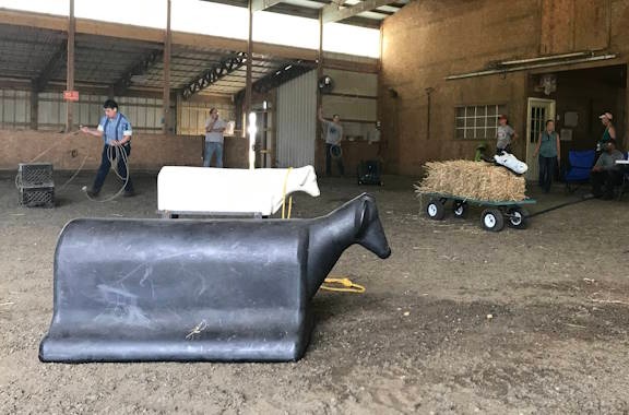 two calf roping mannequins in a barn 