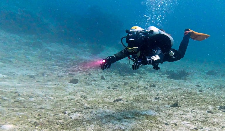 Diving with Deep 6 Eddy Fin