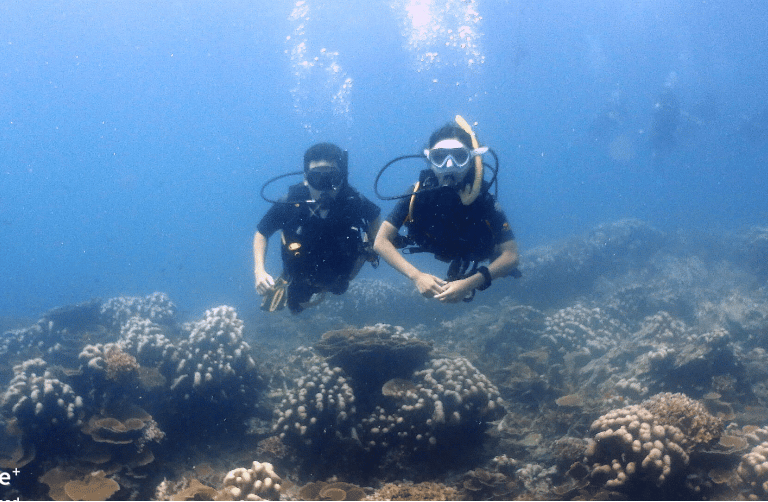 PADI scuba divers in the water with their equipment