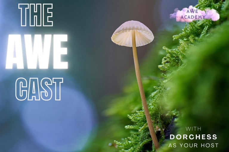 podcast image for the AWE cast
