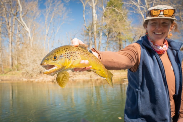 Spring fly fishing on the South Holston River
