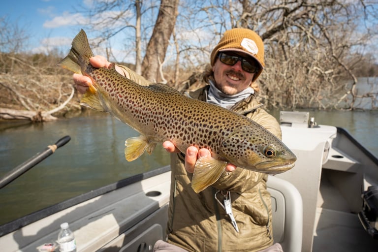 February Tennessee Fishing Report