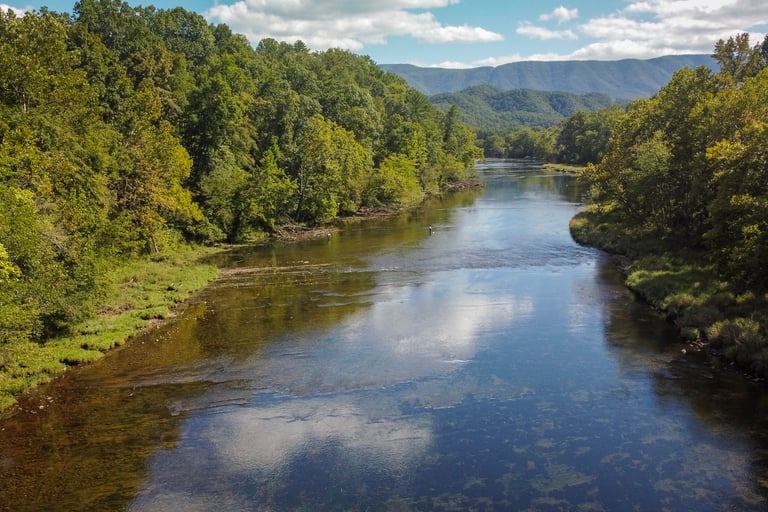 Fly Fishing the South Holston River Tennessee