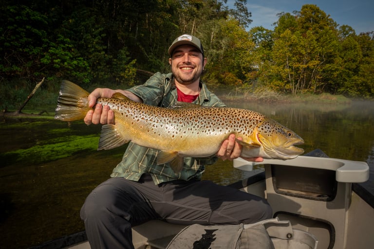 Huge South Holston River brown trout