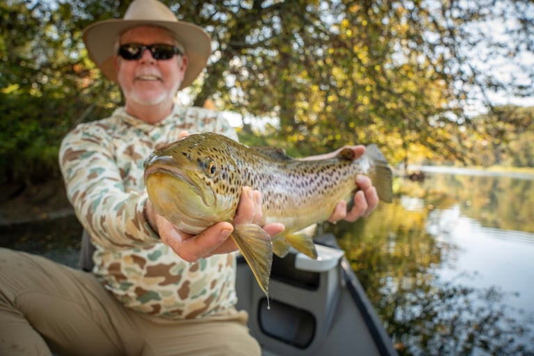 Fly Fish Tennessee 