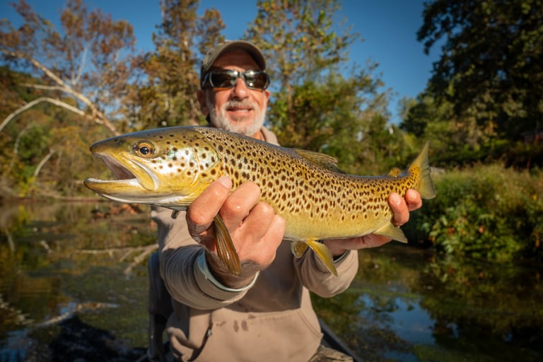 Fall Fly Fishing in Tennessee 