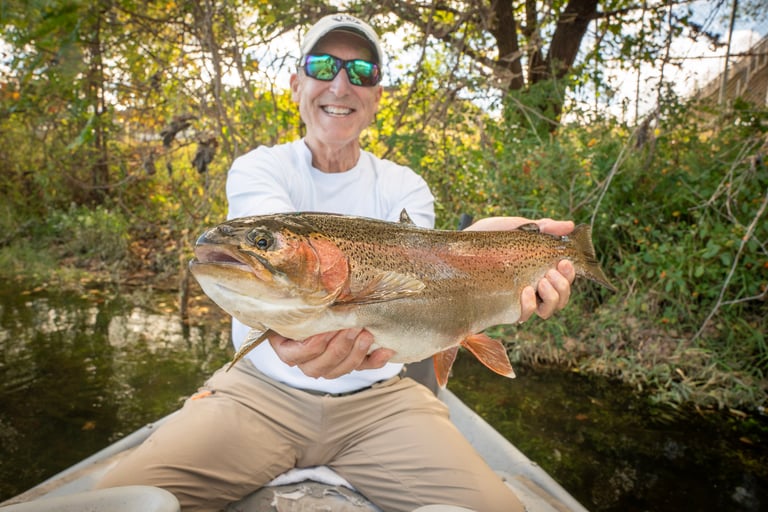 Big Rainbow Trout in Tennessee 