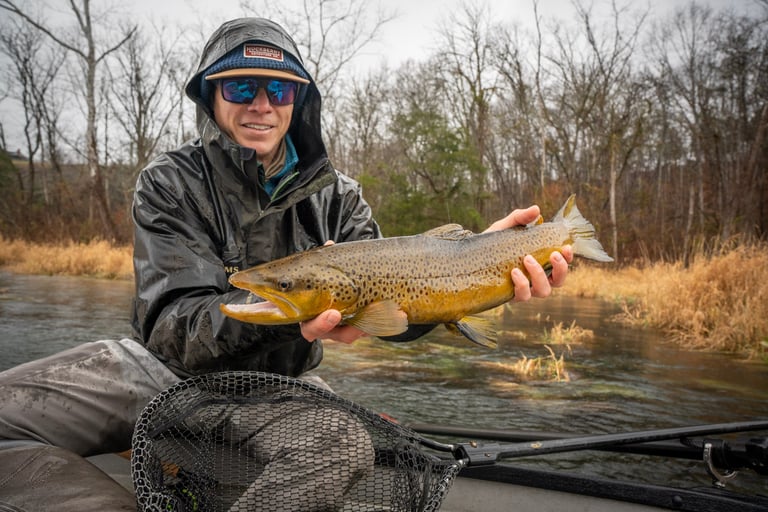 Wild Brown Trout in Tennessee