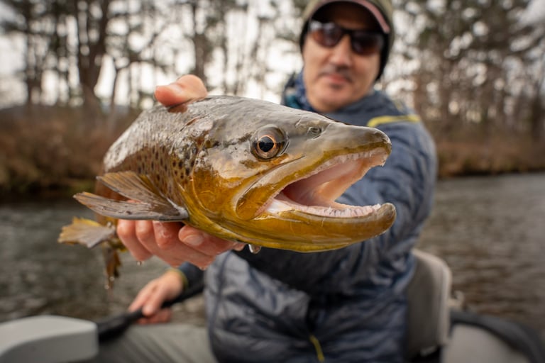 January Fly Fishing on Watauga