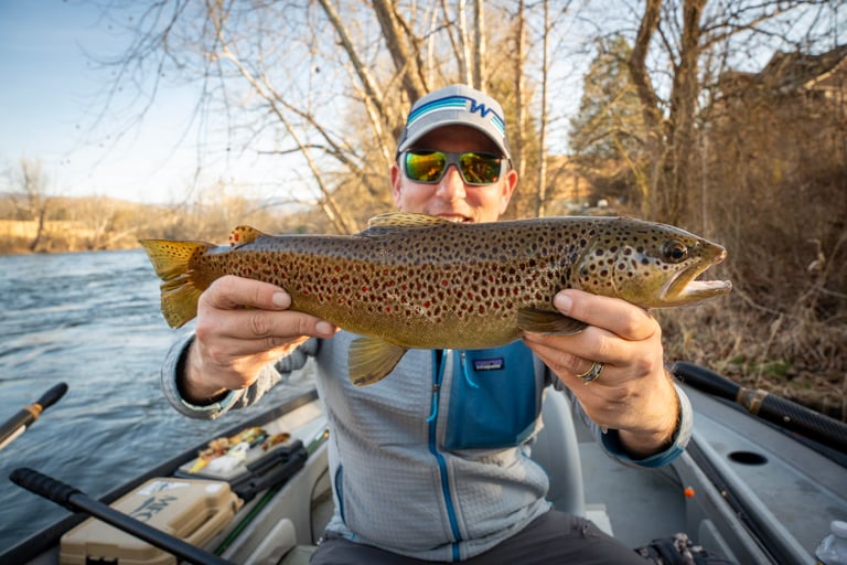 Streamer Fishing for Big Brown Trout in Tennessee