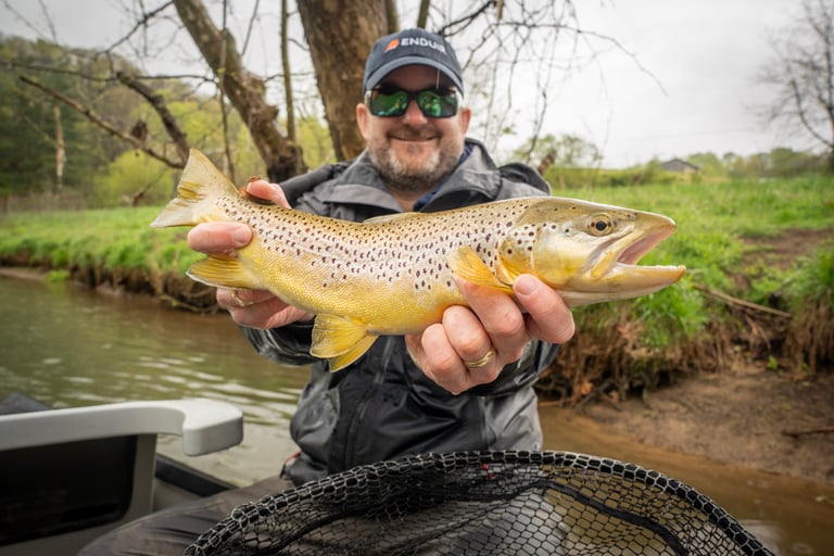 Fly Fish the Watauga River Caddis Hatch