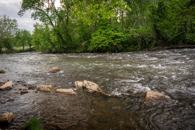 Sycamore Shoals Elizabethton TN Fly Fishing