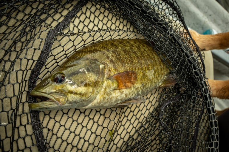 May Smallmouth Fishing