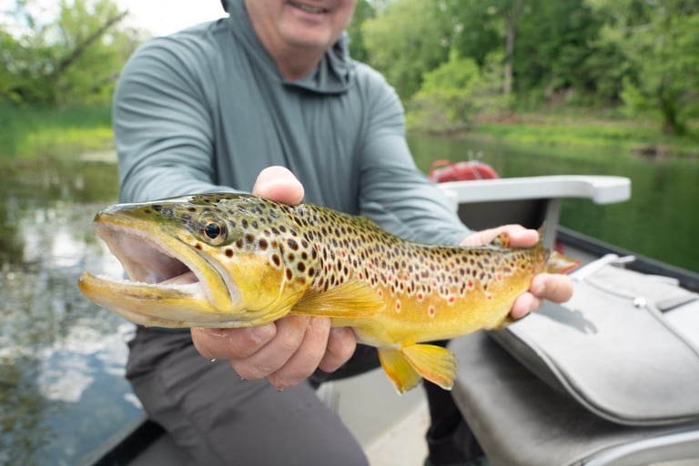May 2025 South Holston River Fishing Report