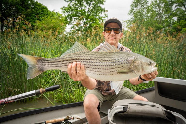 Eric loved catching stripers on the fly.
