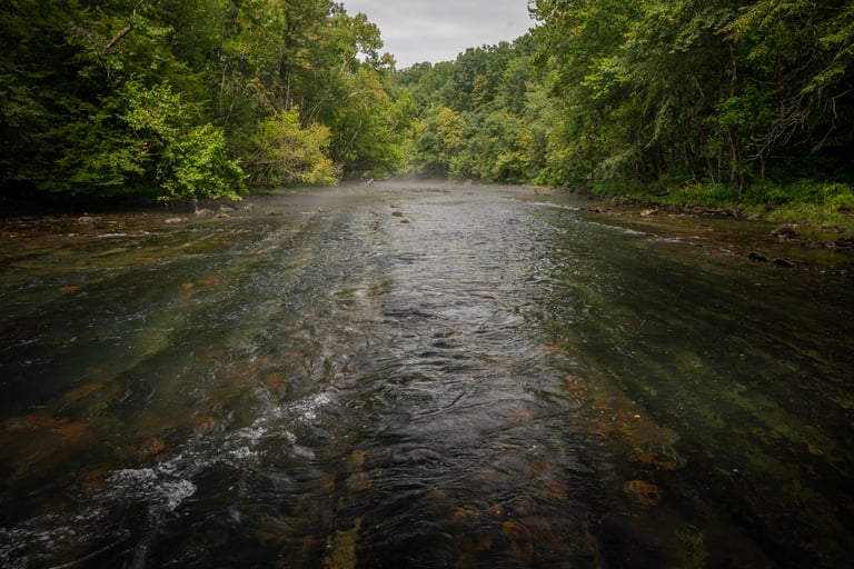 South Holston River September 2025