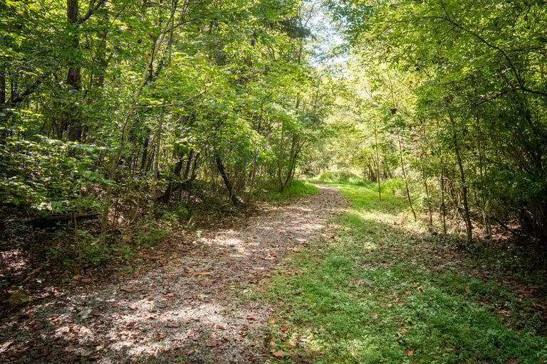 TVA Public Land