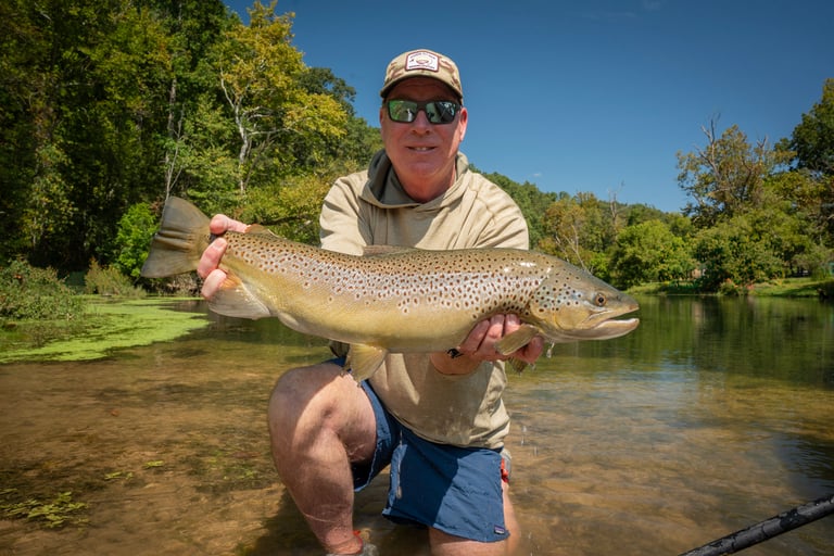 Big Brown trout in Tennessee 