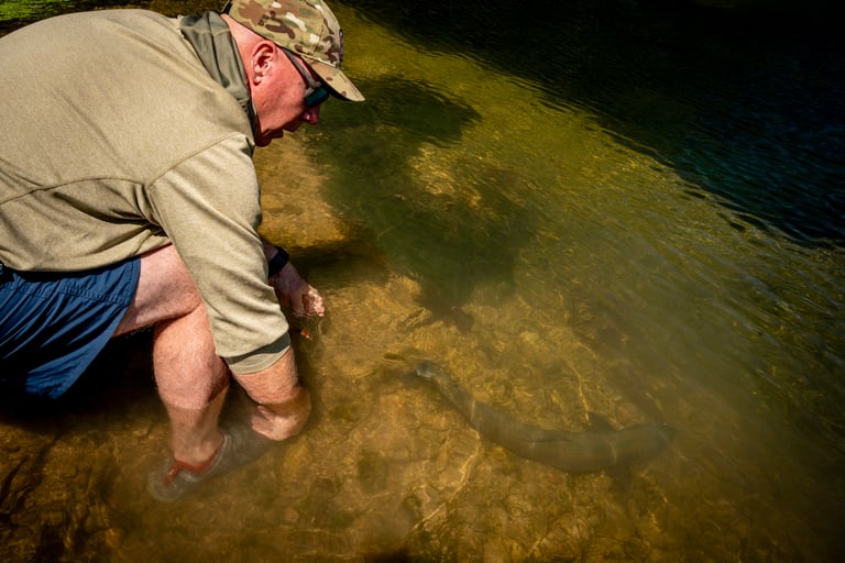 Fall Fly Fishing Tips