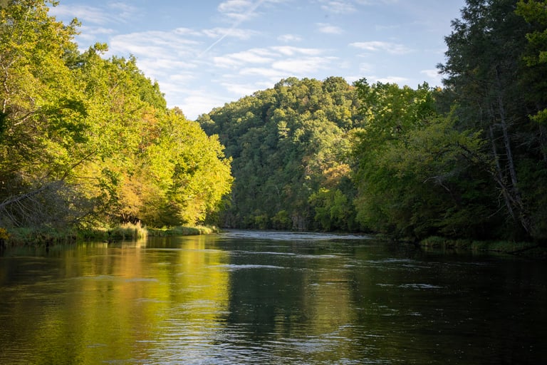 Fly Fish the South Holston River