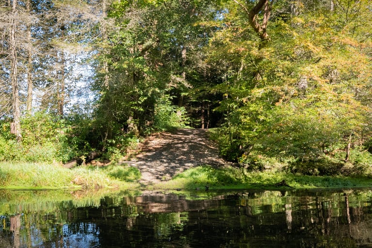 River Access from the Bouton Trail