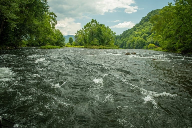A beautiful day in May on the Watauga River in Tennessee.