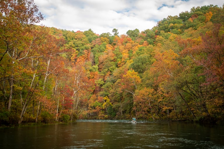 Fall leaves on the Watauga River.