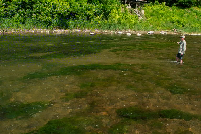 Wading while fly fishing South Holston River