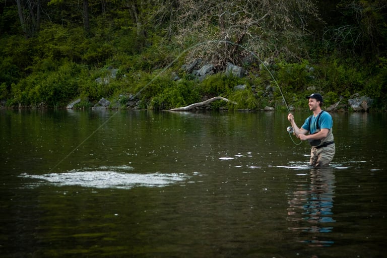 Fly Fisherman on the Watauga River in Tennessee