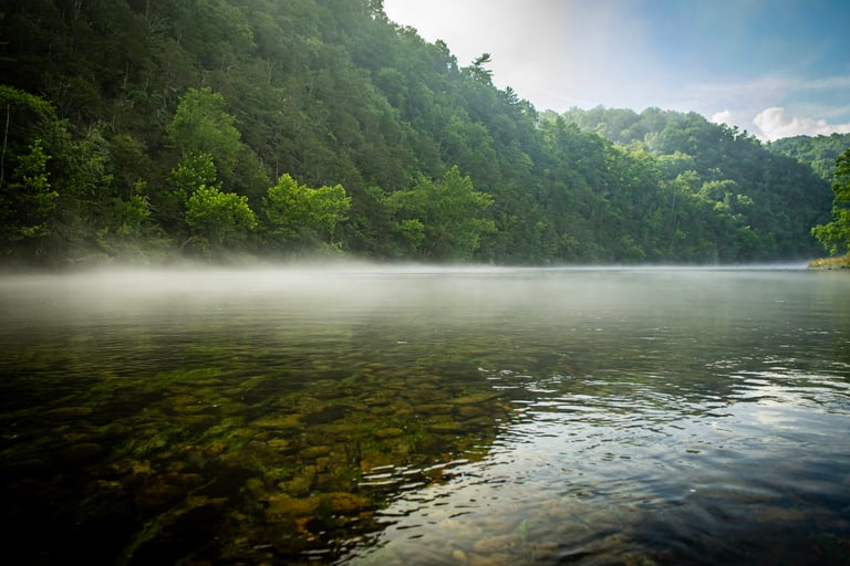 Beautiful Foggy morning on the South Holston.
