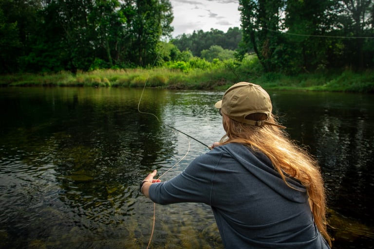 Fly Fish the South Holston River in Tennessee