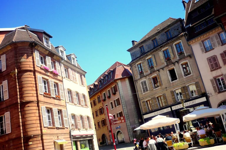 Nettoyage et demoussage toiture à Belfort